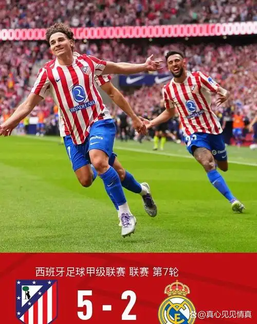 雨燕免费直播在线观看